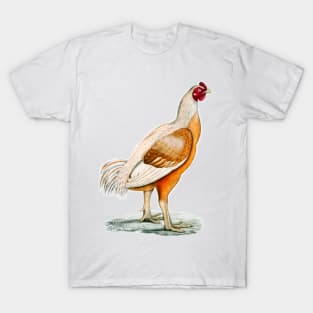 Giant Rooster vintage colorful illustration in drawing T-Shirt